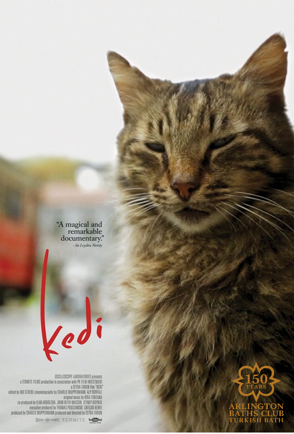 Film poster for Kedi showing a cat with the skyline of Instanbul in the background
